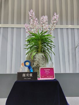世界らん展2026-花と緑の祭典-に投稿された画像（2024/2/14）