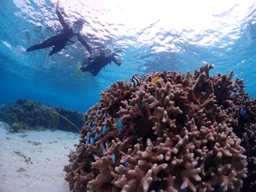 CHAMP TOUR　宮古島に投稿された画像（2024/2/14）
