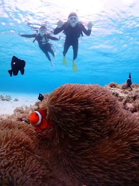 CHAMP TOUR　宮古島に投稿された画像（2024/2/14）