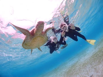 CHAMP TOUR　宮古島に投稿された画像（2024/2/14）