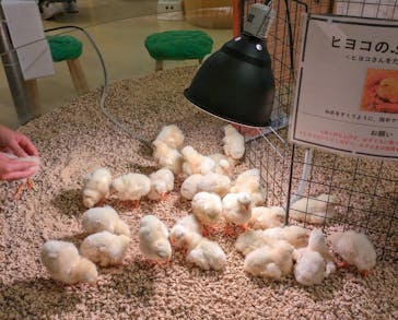 Moff animal cafe イオンモール幕張新都心店に投稿された画像（2024/2/14）