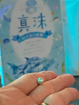 しながわ水族館に投稿された画像（2024/2/14）