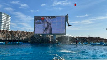 名古屋港水族館に投稿された画像（2024/2/14）