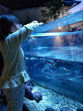 カワスイ 川崎⽔族館に投稿された画像（2024/2/14）