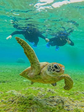 宮古島 ADVENTURE PiPi（ミヤコジマ アドベンチャー ピピ）に投稿された画像（2024/2/14）