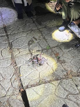 宮古島 ADVENTURE PiPi（ミヤコジマ アドベンチャー ピピ）に投稿された画像（2024/2/14）