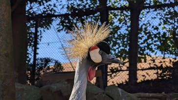 伊豆シャボテン動物公園に投稿された画像（2024/2/14）