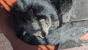 伊豆シャボテン動物公園に投稿された画像（2024/2/14）