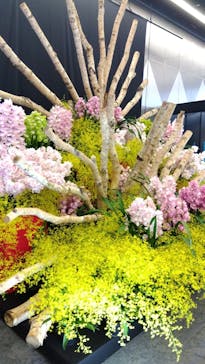 世界らん展2026-花と緑の祭典-に投稿された画像（2024/2/14）