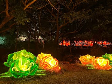 体験王国 むら咲むらに投稿された画像（2024/2/14）