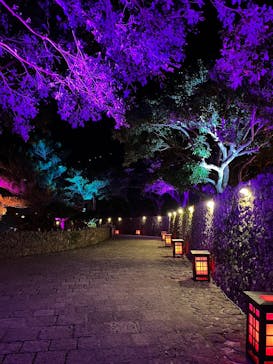 体験王国 むら咲むらに投稿された画像（2024/2/14）