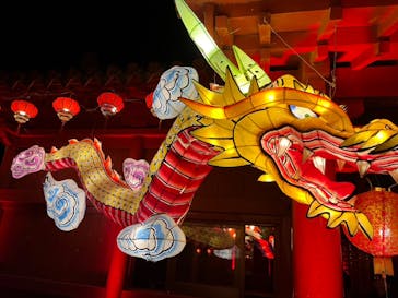 体験王国 むら咲むらに投稿された画像（2024/2/14）