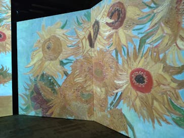 ゴッホ・アライブに投稿された画像（2024/2/14）