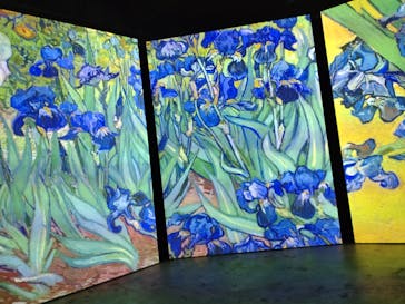 ゴッホ・アライブに投稿された画像（2024/2/14）