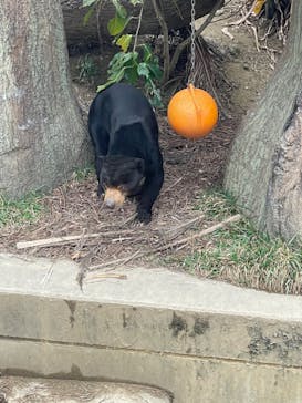 沖縄こどもの国に投稿された画像（2024/2/14）