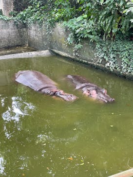 沖縄こどもの国に投稿された画像（2024/2/14）