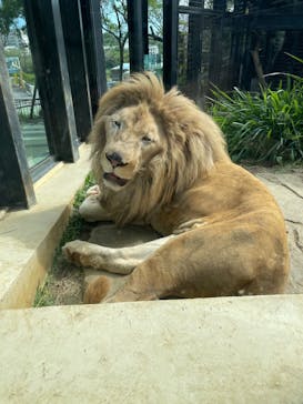 沖縄こどもの国に投稿された画像（2024/2/14）