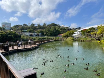 沖縄こどもの国に投稿された画像（2024/2/14）