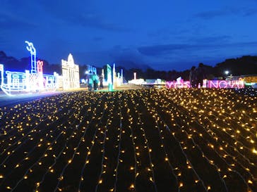 鹿児島イルミナージュに投稿された画像（2024/2/14）