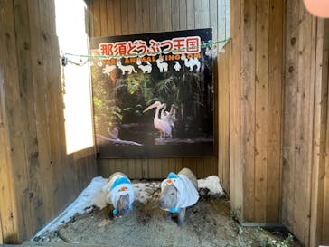那須どうぶつ王国に投稿された画像（2024/2/14）