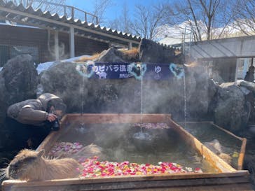 那須どうぶつ王国に投稿された画像（2024/2/14）