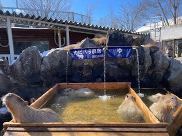 那須どうぶつ王国に投稿された画像（2024/2/14）