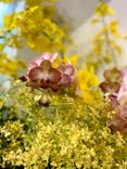 世界らん展2024-花と緑の祭典-に投稿された画像（2024/2/15）