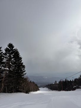 パルコールつま恋リゾートに投稿された画像（2024/2/15）