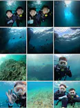 武藤潜水に投稿された画像（2024/2/15）