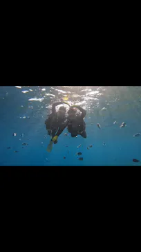 武藤潜水に投稿された画像（2024/2/15）