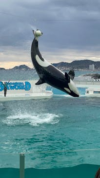 鴨川シーワールドに投稿された画像（2024/2/15）