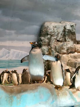 名古屋港水族館に投稿された画像（2024/2/15）