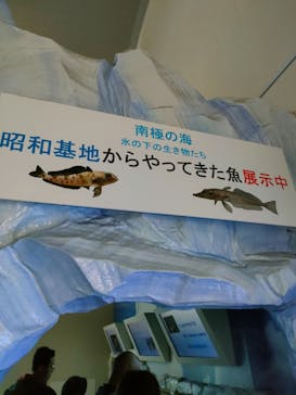 名古屋港水族館に投稿された画像（2024/2/15）