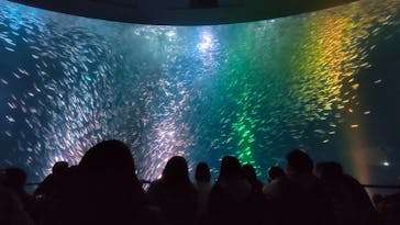 名古屋港水族館に投稿された画像（2024/2/15）