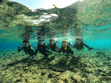 武藤潜水に投稿された画像（2024/2/15）