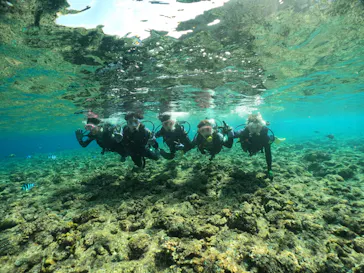 武藤潜水に投稿された画像（2024/2/15）