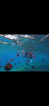 武藤潜水に投稿された画像（2024/2/15）