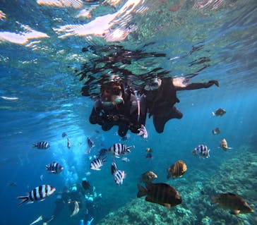 青の洞窟専門店　沖縄ダイビングショップ和に投稿された画像（2024/2/15）