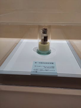 特別展「和食 ～日本の自然、人々の知恵～」に投稿された画像（2024/2/15）