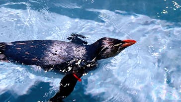 AOAO SAPPOROに投稿された画像（2024/2/15）