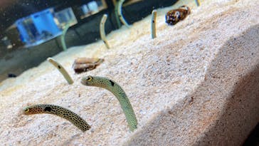 AOAO SAPPOROに投稿された画像（2024/2/15）