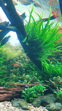 AOAO SAPPOROに投稿された画像（2024/2/15）