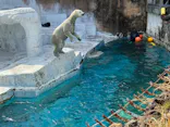 天王寺動物園に投稿された画像（2024/2/15）