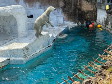 天王寺動物園に投稿された画像（2024/2/15）