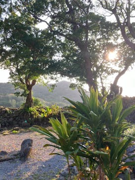 今帰仁城跡に投稿された画像（2024/2/15）