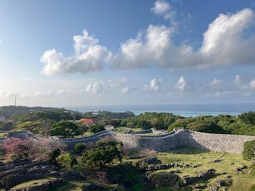 今帰仁城跡に投稿された画像（2024/2/15）