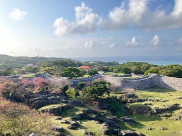 今帰仁城跡に投稿された画像（2024/2/15）