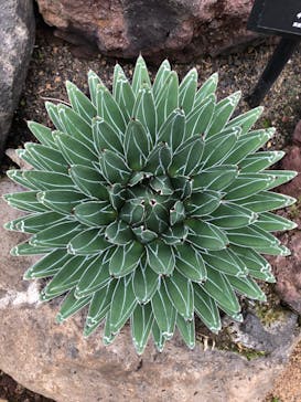 伊豆シャボテン動物公園に投稿された画像（2024/2/15）