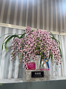 世界らん展2026-花と緑の祭典-に投稿された画像（2024/2/15）