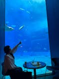 沖縄美ら海水族館に投稿された画像（2024/2/15）